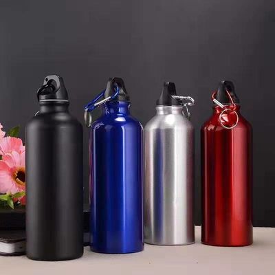 comprar Botellas de agua de 750 ml con carabinero Botella de agua de aluminio portátil Jarrón de agua a prueba de fugas Para senderismo Viajes Deportes al aire libre Gimnasio online manufacture